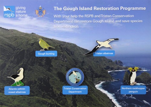 Rspb pin badge - special, gnah