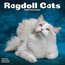 Ragdoll Cats Calendar 2026 - Animal - Month To View
