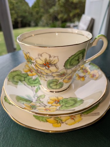 Vintage salisbury bone - salisbury, china