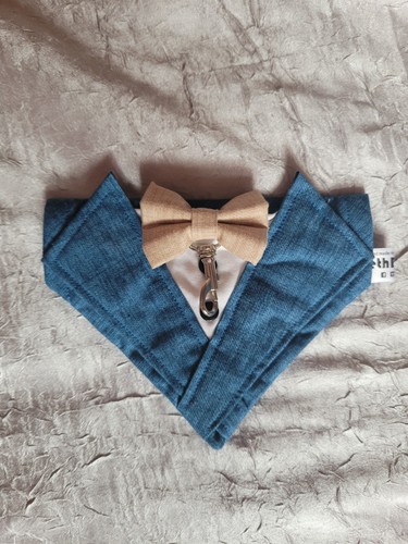 Dog bow tie - dog, tuxedo