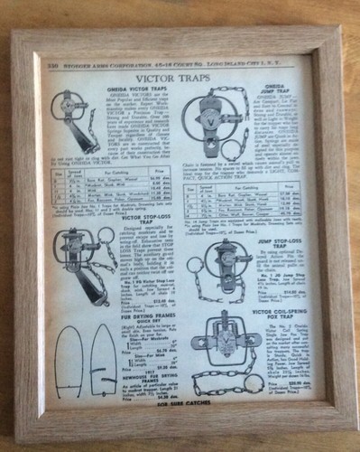Framed vintage animal - vintage,