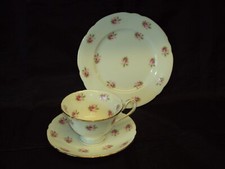 Antique Wileman Foley China