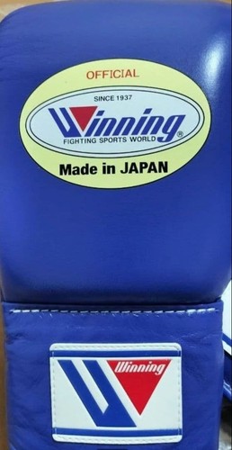 Winning boxing gloves - winning,
