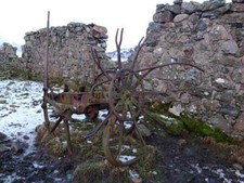 Photo 6x4 Abandoned potato