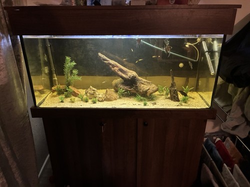 4ft aquarium cabinet setup - aquarium,