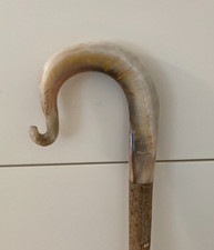 RAMS HORN  CROOK on HAZEL shaft walking hiking and beaters stick.