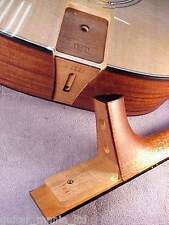 Taylor Acoustic Guitar