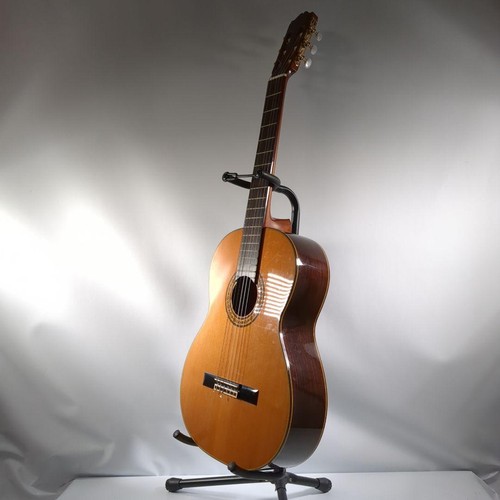 Takamine acoustic - takamine, no.30