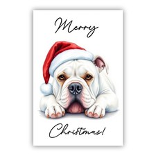 American Bulldog Christmas Dog