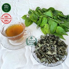 Calea Zacatechichi Tea Mexican