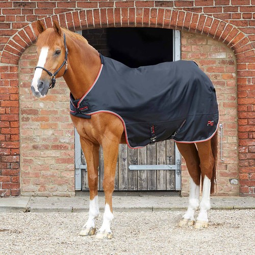 Premier equine 100g horse - premier,
