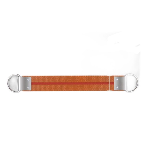 Auxiliary fixing strip - fixing,