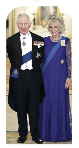 King charles and queen camilla - charles,
