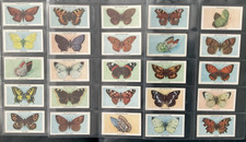 BRITISH BUTTERFLIES (1955) -