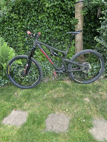 Santa cruz bronson large - bronson,