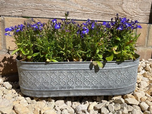 Galvanised zinc floral metal - floral,