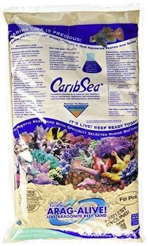 Caribsea live fiji pink - fiji, coral