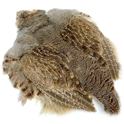 Hungarian partridge skin - partridge,