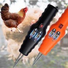 2024 Electric Poultry Feather