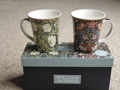 William morris leonardo - william,