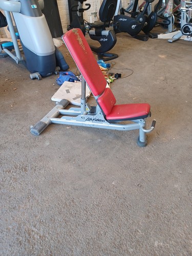 Life fitness signature series - life,
