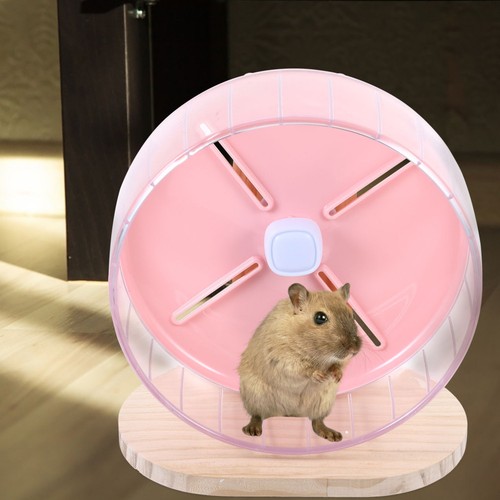 Compact rat wheel - rat, hamster