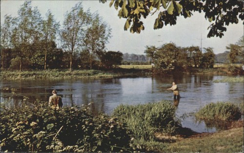 Vintage salmon postcard - salmon,
