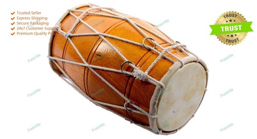 Indian wooden traditional - indian, bina