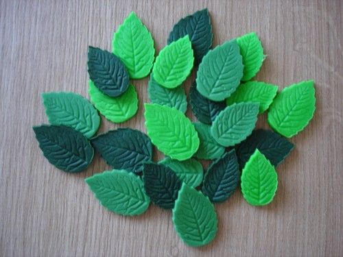 Mixed green leaves edible - green,
