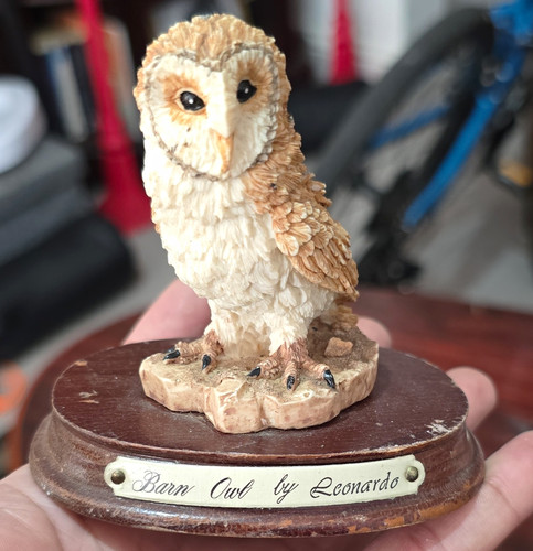 Leonardo barn owl - leonardo,