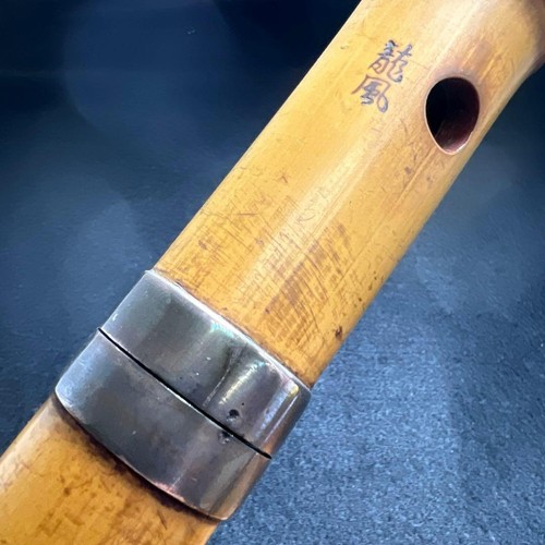 Ryuho zaimei tsuyama - ryuho, ryu