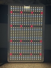 Phlizon PL 2000W 1000W Dimmable LED Grow Lights Full Spectrum Plants VEG Flower