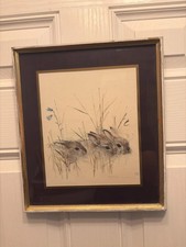 Vintage Framed Rabbit Animal