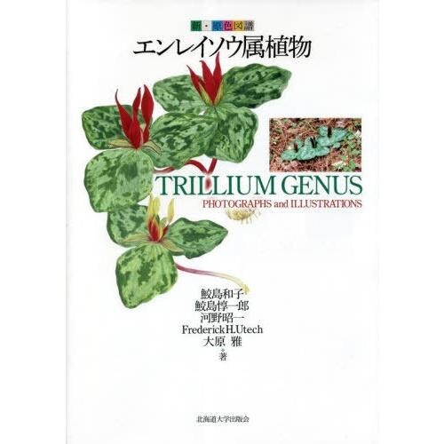 Trillium genus photographs - trillium, &