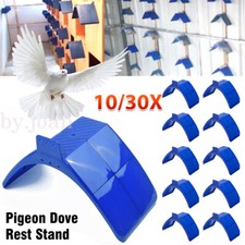 10/20/30X Birds Dove Pigeon