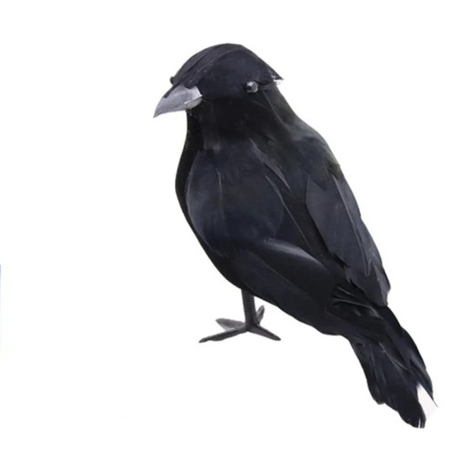 Realistic black crow halloween - crow,