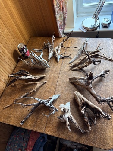 Driftwood x12 small root - x12,