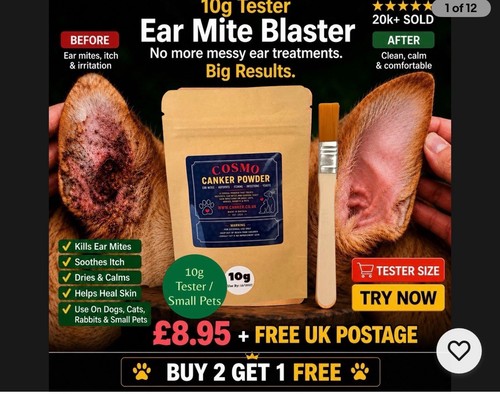 10g canker ear - uk,