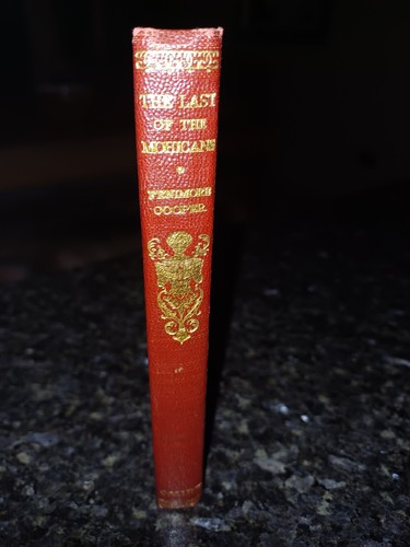 Antique leather book - book, the