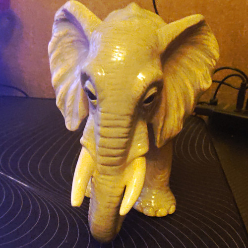 Animal families elephant - animal,