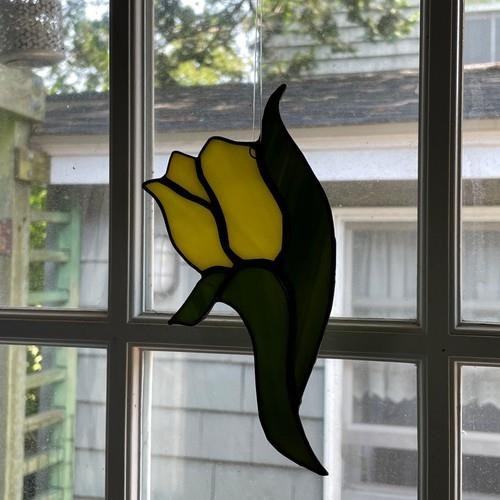 Yellow tulip 6 - 7",