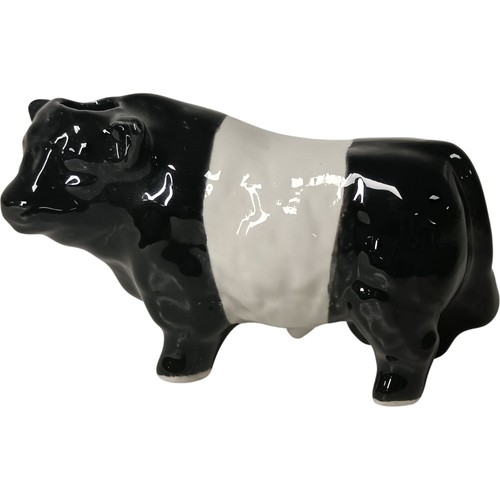 Ceramic belted galloway - ceramic,