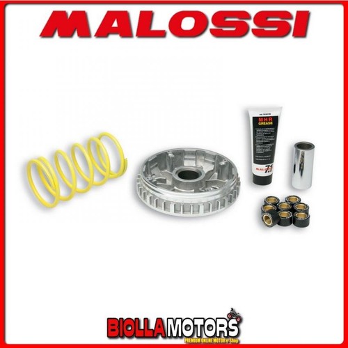 5111225 variator malossi - 5111225,