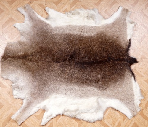 Beautiful deer fur - ,