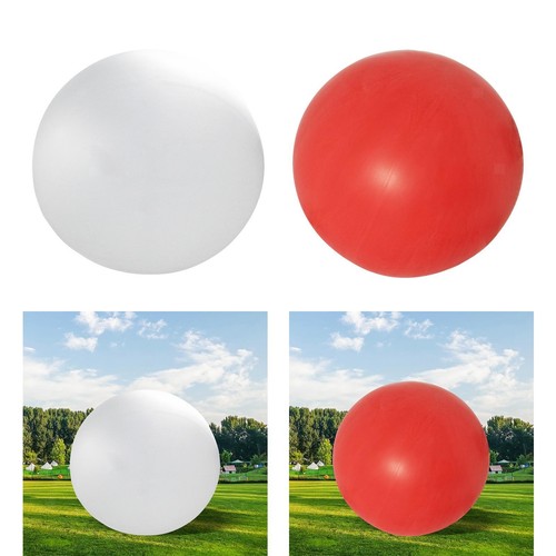 Giant balloon professional - giant,