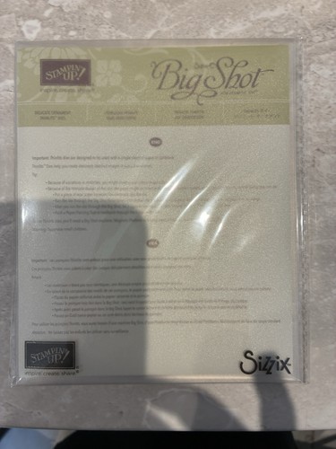 Title stampin delicate - title:, up
