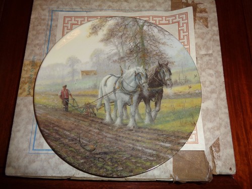Royal doulton collectors plate - royal,