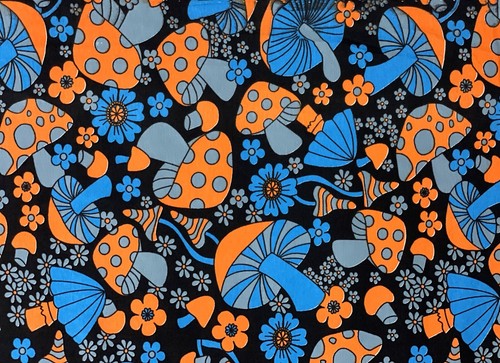 Magic mushrooms print - mushrooms, on