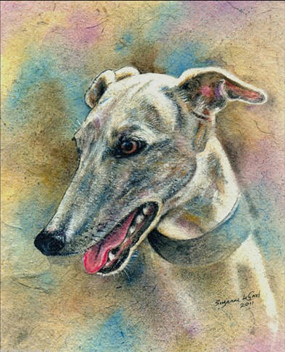 Greyhound dog art - dog,