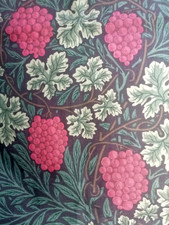 William Morris Vine new